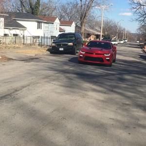 Meet your Posher, Elvis